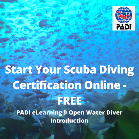 Try PADI eLearning for Free