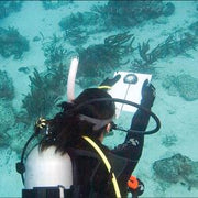 BSA Underwater Navigator Specialty