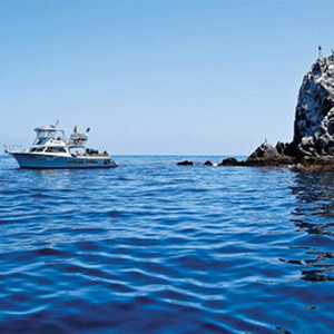 Deluxe Catalina Ocean Dives
