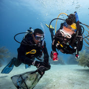 Dive Against Debris Diver eLearning